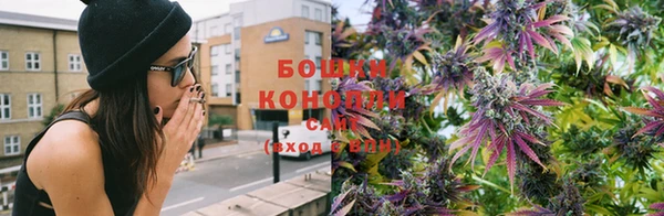 ПСИЛОЦИБИНОВЫЕ ГРИБЫ Покровск