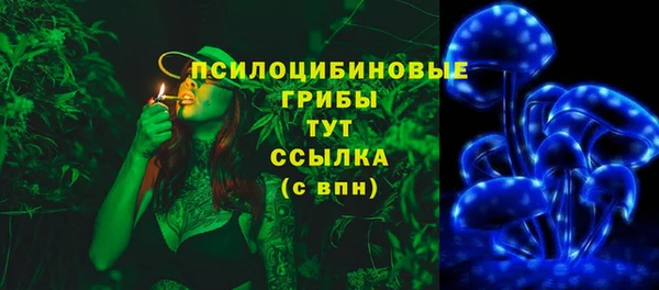 ПСИЛОЦИБИНОВЫЕ ГРИБЫ Покровск