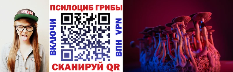 Псилоцибиновые грибы Magic Shrooms  продажа наркотиков  Владимир 