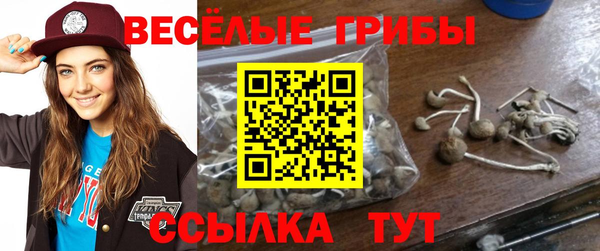Владимир  Псилоцибиновые грибы Magic Shrooms  дарнет шоп  Вход с VPN  Псилоцибиновые грибы прущие грибы 