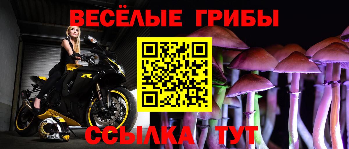 Псилоцибиновые грибы прущие грибы  Владимир 