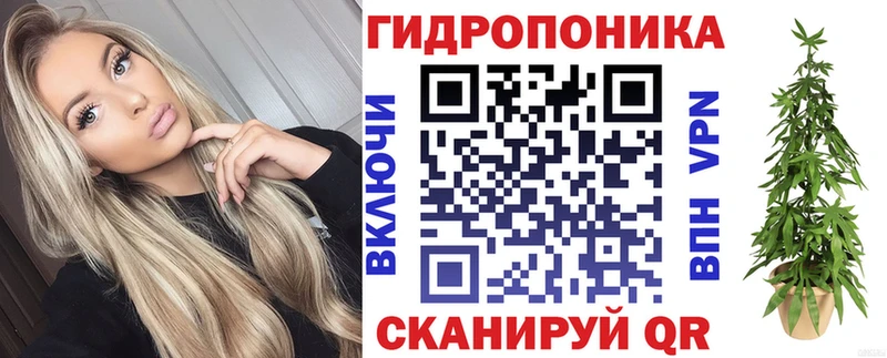 Конопля марихуана Владимир
