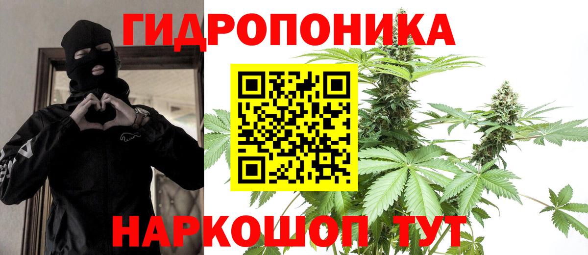 Каннабис Ganja  Марихуана Ganja  Каннабис MAZAR  Владимир  Бошки марихуана OG Kush 